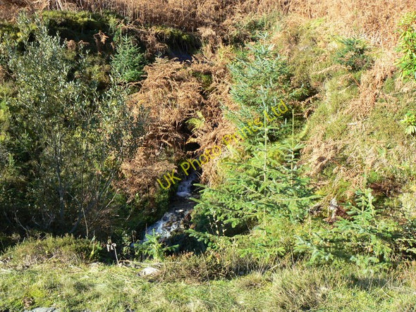 Photo 6"x4" Glen Fyne, unnamed burn in Goatsford Wood Inverchaolain c2006