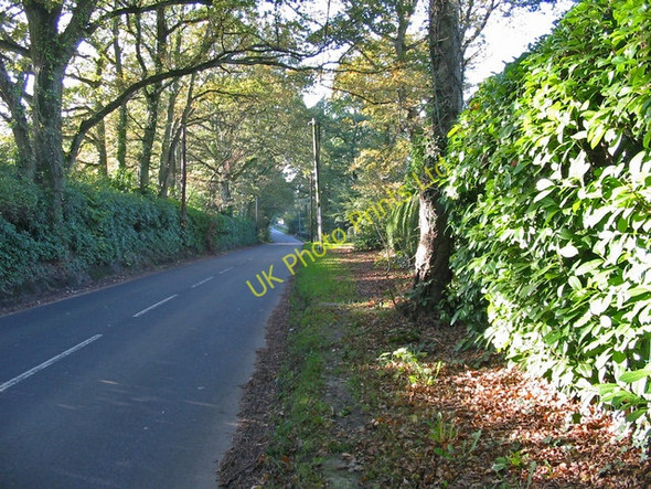 Photo 6"x4" The road to Cranborne from Alderholt Dorset Daggons c2006