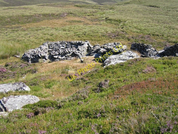Photo 6"x4" Sheepfold below Llechwedd-llyfn Llechwedd-llyfn c2006