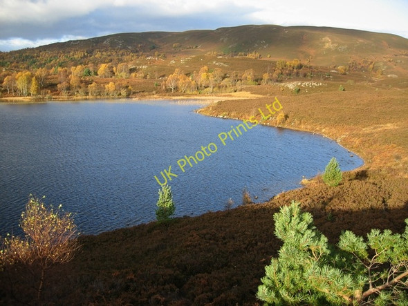 Photo 6"x4" Loch na Ba Ruaidhe Milton\/NH4930 c2006 P1