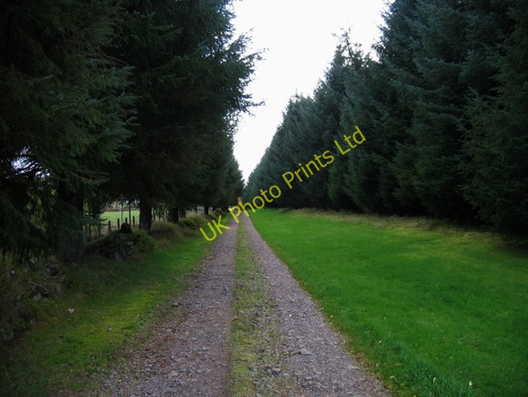 Photo 6"x4" Track to Blairmore Ardendrain c2006