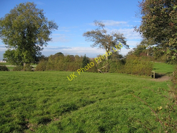 Photo 6"x4" Field hedge and Ash tree Bridge End\/SJ3157 c2006