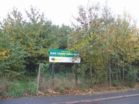 Photo 6"x4" Black Country Urban Forest Wednesbury c2006