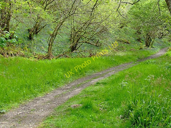 Photo 6"x4" The Big Burn walk close to Golspie Backies\/NC8302 c2007 P1