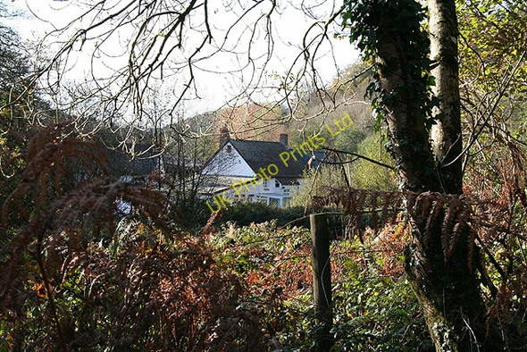 Photo 6"x4" Bratton Fleming: near Bratton Mill Bratton Fleming c2006