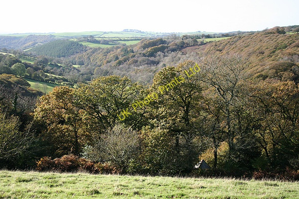 Photo 6"x4" Bratton Fleming: near Holywell Bratton Fleming c2006