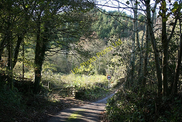 Photo 6"x4" Bratton Fleming: approaching Loxhore Mill Bridge Lower Loxhore c2006