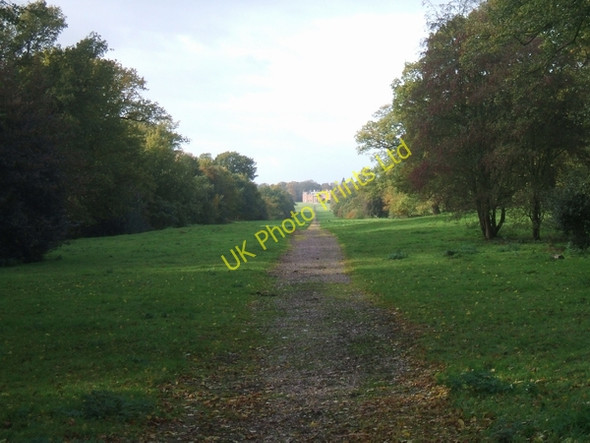 Photo 6"x4" Upper Avenue, Chillington Hall Brewood c2006