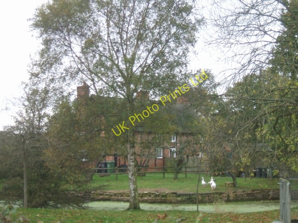 Photo 6"x4" Timbered building with duck pond Park Lane\/SJ8806 c2006
