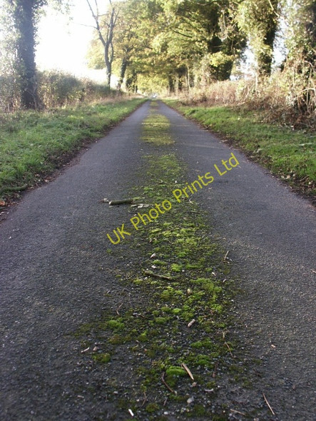 Photo 6"x4" Slutshole Lane, Spooner Row Black Carr\/TM0995 c2006