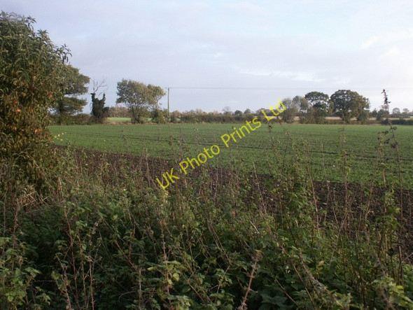 Photo 6"x4" Field, Slutshole Lane, Spooner Row Black Carr\/TM0995 c2006