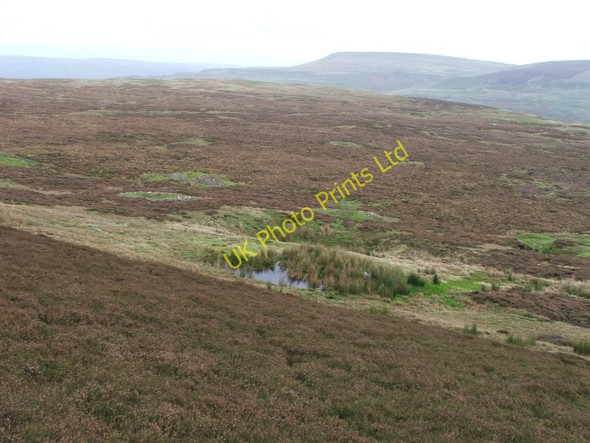 Photo 6"x4" Lady Wassett Well. Newbiggin\/SD9985 c2006