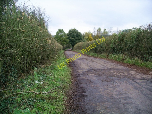 Photo 6"x4" Bell Lane, Shipley Country Park Heanor c2006