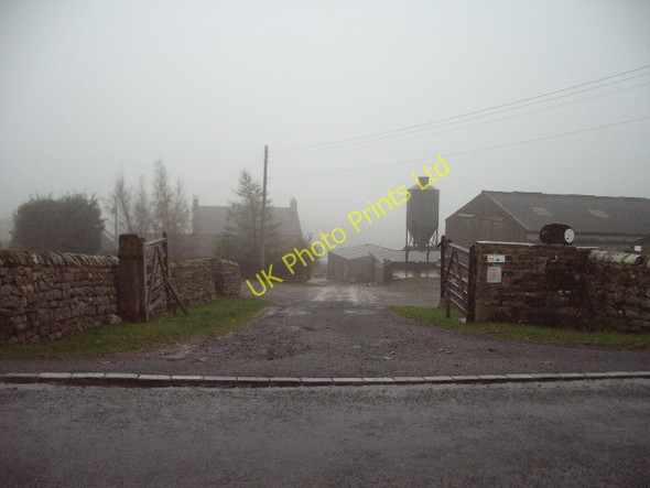 Photo 6"x4" Wemmergill Farm Kelton\/NY9220 c2006