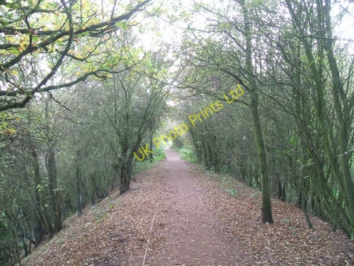 Photo 6"x4" Towpath of Wyrley Branch Canal Cheslyn Hay c2006