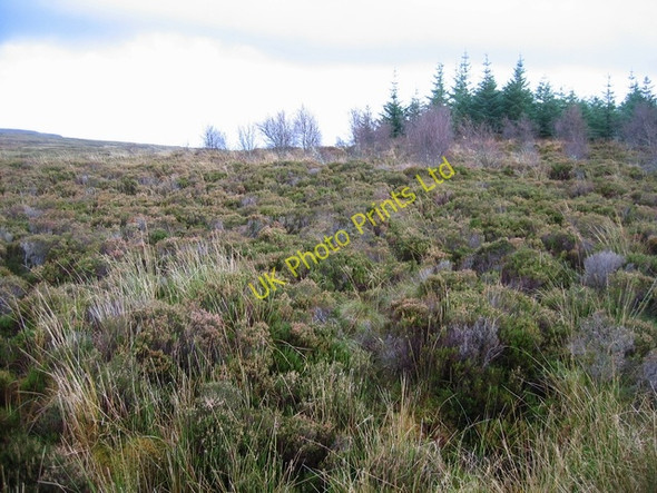 Photo 6"x4" Moorland south of Edinbane Blackhill\/NG3450 c2006