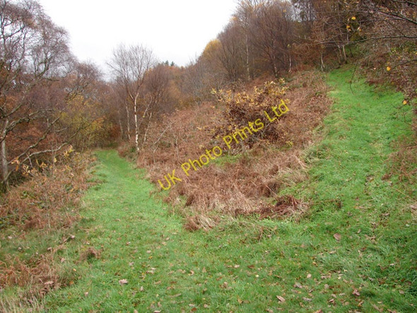 Photo 6"x4" Junction of paths in Cwm Rheidol Ystumtuen c2006