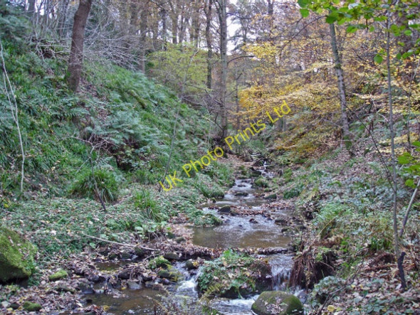 Photo 6"x4" Wincle - Hog Clough Danebridge c2006
