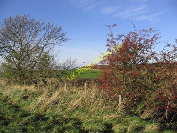Photo 6"x4" Field boundary Duddo c2006
