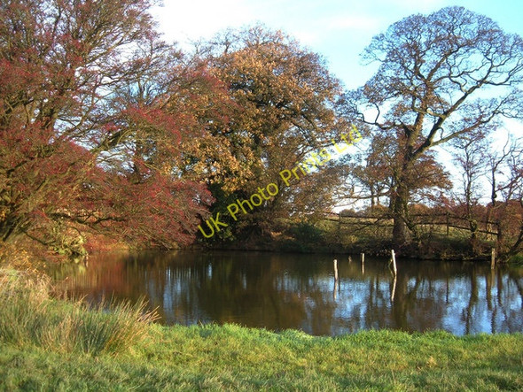 Photo 6"x4" Pond at Hilltop Farm Higher Poynton c2006
