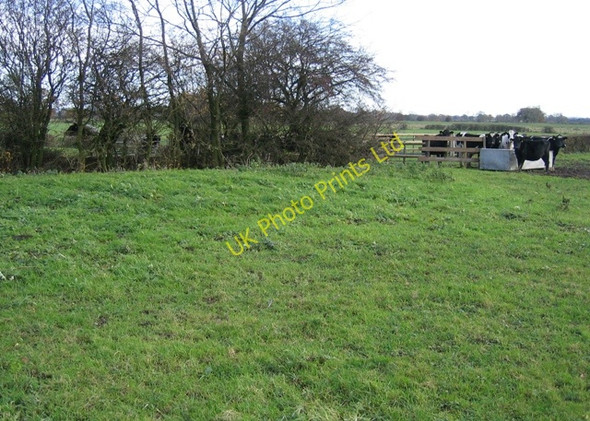 Photo 6"x4" Footpath to the River Dee Parkside\/SJ3855 c2006