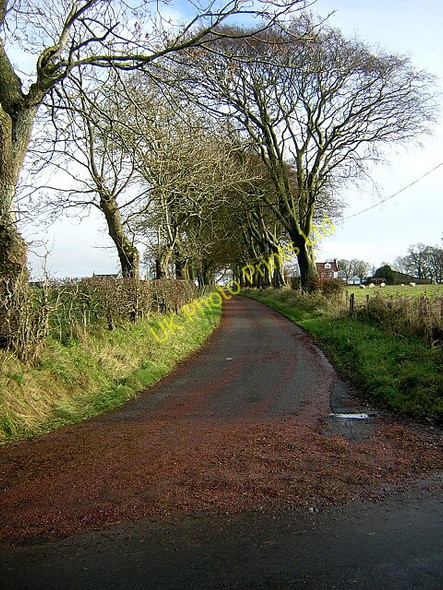 Photo 6"x4" Minor Road Near Auldhouse Auldhouse c2006