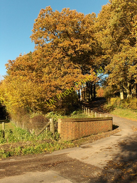 Photo 6"x4" Lane, Lower Old Park Dippenhall c2006