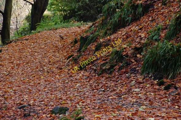 Photo 6"x4" Glenoe Glen (5) Glenoe c2006