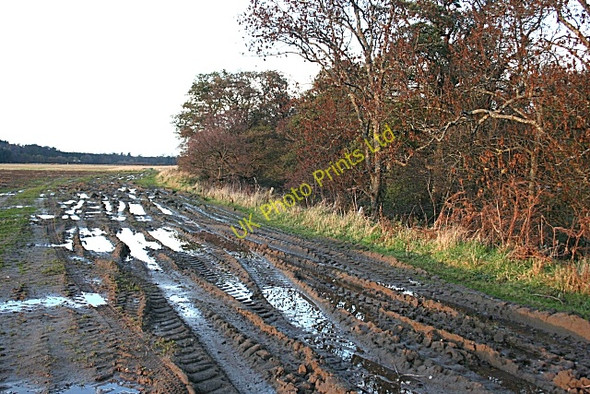 Photo 6"x4" Mud, Glorious Mud! Orton\/NJ3153 c2006