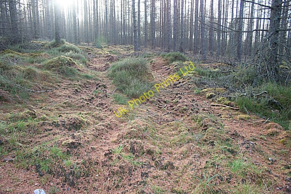 Photo 6"x4" Extraction Track Inchberry\/NJ3155 c2006