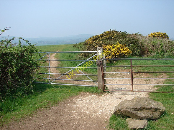 Photo 6"x4" Gate on the Purbeck Way Little Woolgarston c2006