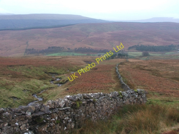 Photo 6"x4" Hazle Bank Gill. Oughtershaw c2006