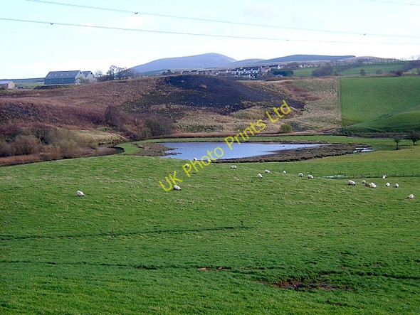 Photo 6"x4" Marsh Beside Douglas Water Douglas Water\/NS8736 c2006