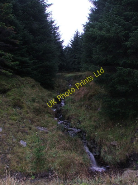 Photo 6"x4" Trackside Stream. Beckermonds c2006