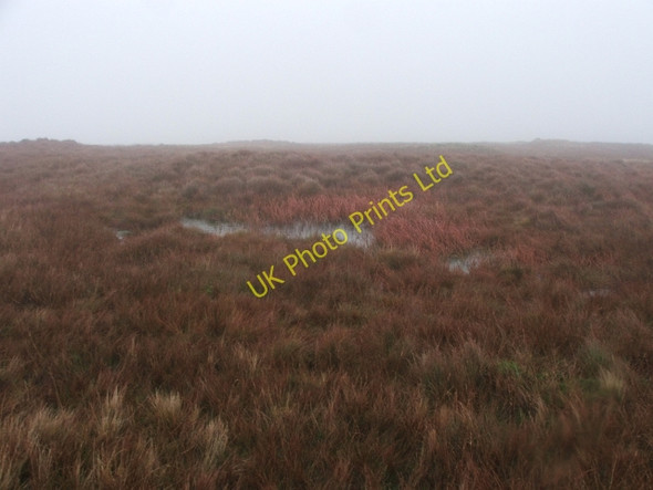Photo 6"x4" Pond on Eller Carr Moss. Beckermonds c2006