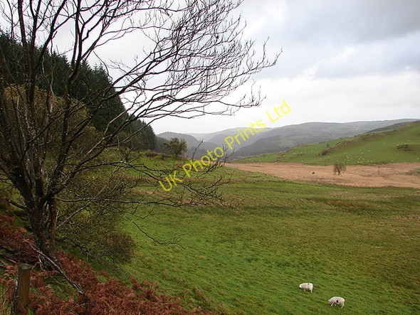 Photo 6"x4" Pasture beside the B4574 Devil's Bridge\/Pontarfynach c2006