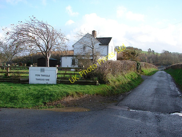 Photo 6"x4" Trawsgoed Farm Cnwch Coch c2006