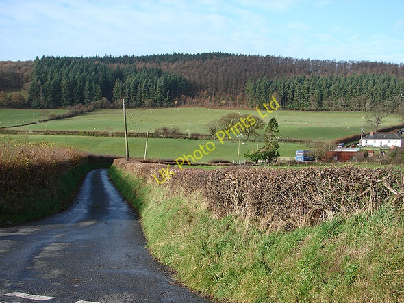 Photo 6"x4" Lane to Pen-y-pontbren Cnwch Coch c2006