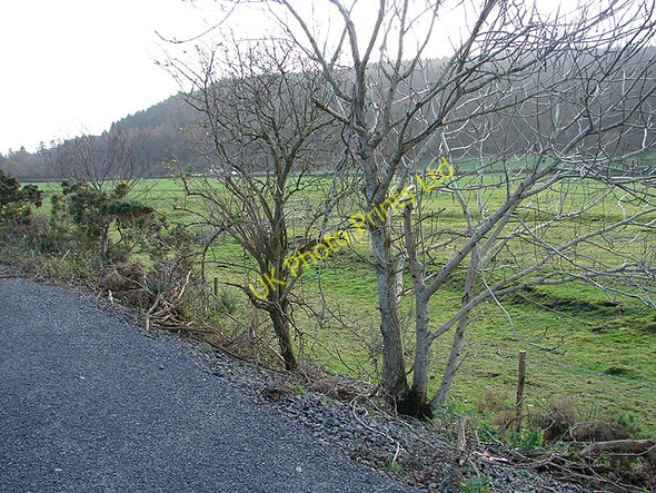 Photo 6"x4" Farmland at Ty-Uchaf Abermagwr c2006