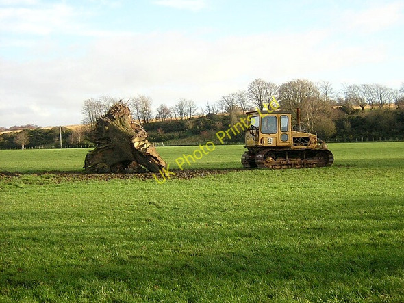 Photo 6"x4" Log and Caterpillar Nethermill\/NY0487 c2006