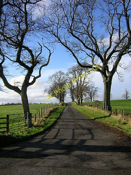 Photo 6"x4" Road to Gillrig Farm Nethermill\/NY0487 c2006