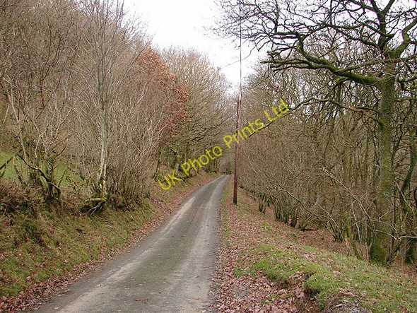 Photo 6"x4" Country lane in Cwm Bronfelen Glynhafren c2006