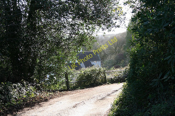 Photo 6"x4" Wambrook: lane at Higher Wambrook Higher Wambrook c2006