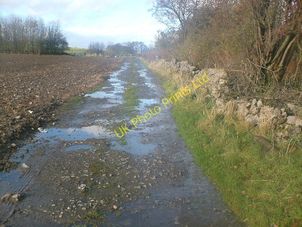 Photo 6"x4" Farm track Alport\/SK2264 c2006