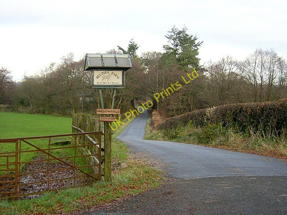 Photo 6"x4" Road to Belzies Marjoriebanks c2006