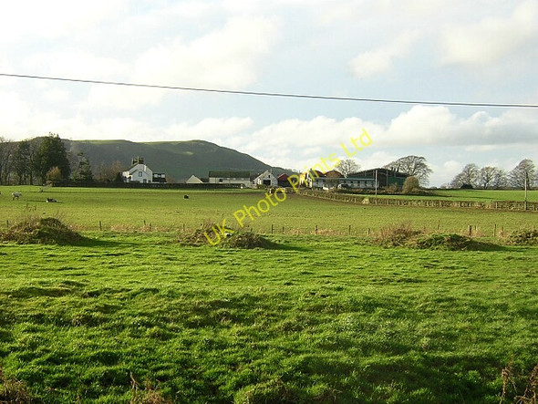 Photo 6"x4" Hazliebrae Farm Nethermill\/NY0487 c2006