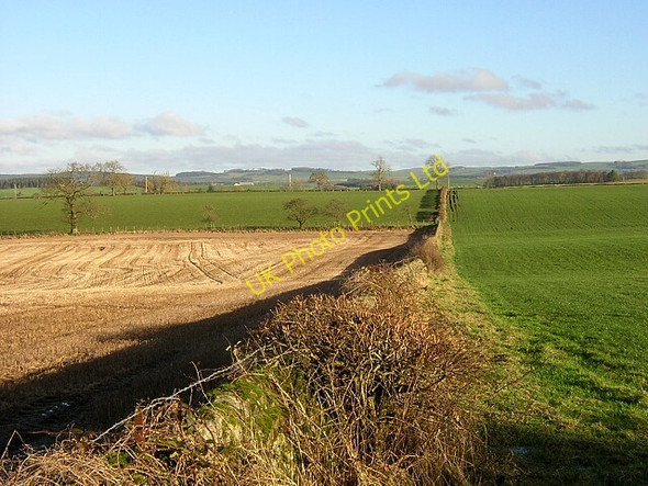 Photo 6"x4" Fields Near Elshieshields Lochmaben c2006