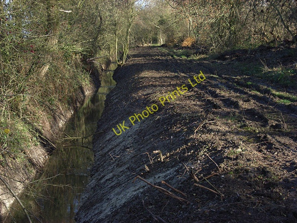 Photo 6"x4" Track and ditch, Willow Bank Farm Steventon\/SU4691 c2006
