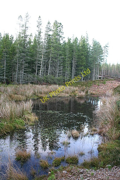 Photo 6"x4" Pond on Feith Burn Orton\/NJ3153 c2006