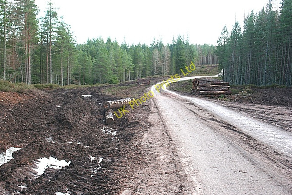 Photo 6"x4" Forest Road Orton\/NJ3153 c2006